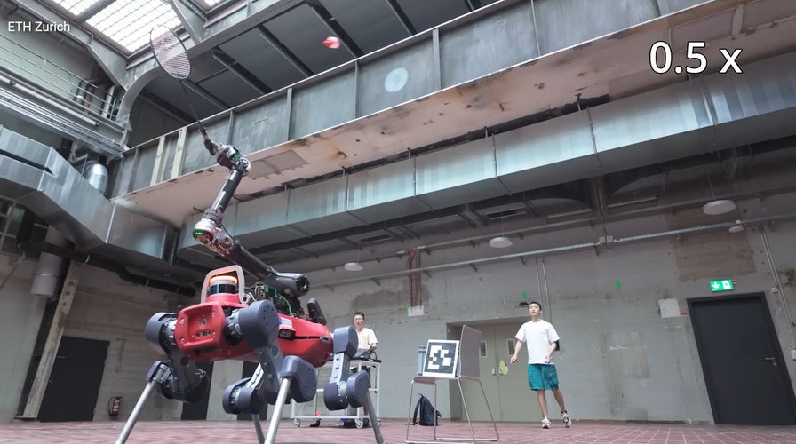 Quadruped robot plays badminton with you using AI