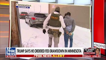 1,000 anti-ICE agitators plan 'checkpoints' around Minneapolis
