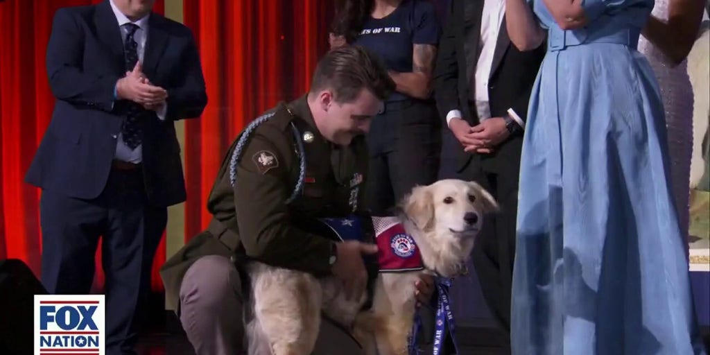 Veteran has surprise reunion with a special pup from overseas
