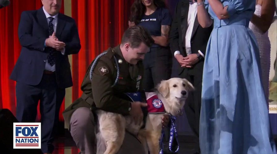Veteran has surprise reunion with a special pup from overseas