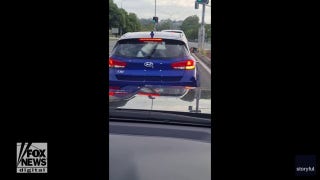  Funny video shows dog in the backseat chasing after windshield wiper - Fox News