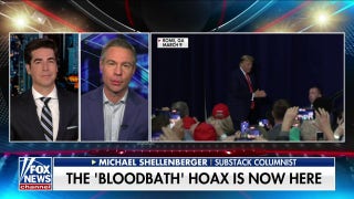 I worry about the weaponization of law agencies to manipulate politics: Michael Shellenberger - Fox News