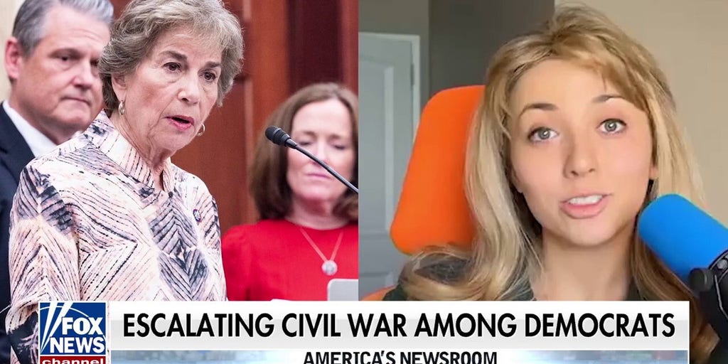 Young Democrats challenge incumbents as party infighting continues