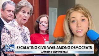 Young Democrats challenge incumbents as party infighting continues