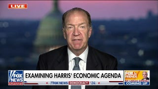 Impact of Harris' policy speech is 'not good for the economy': David Malpass - Fox News