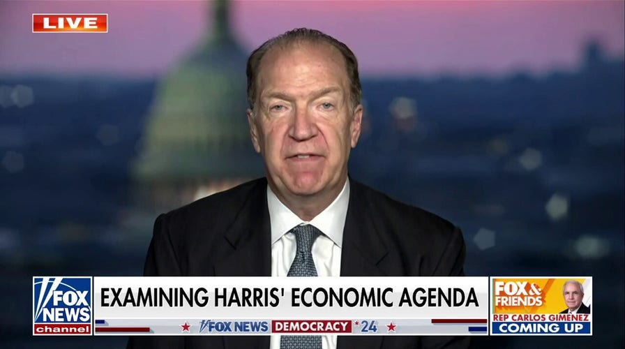 Impact of Harris' policy speech is 'not good for the economy': David Malpass