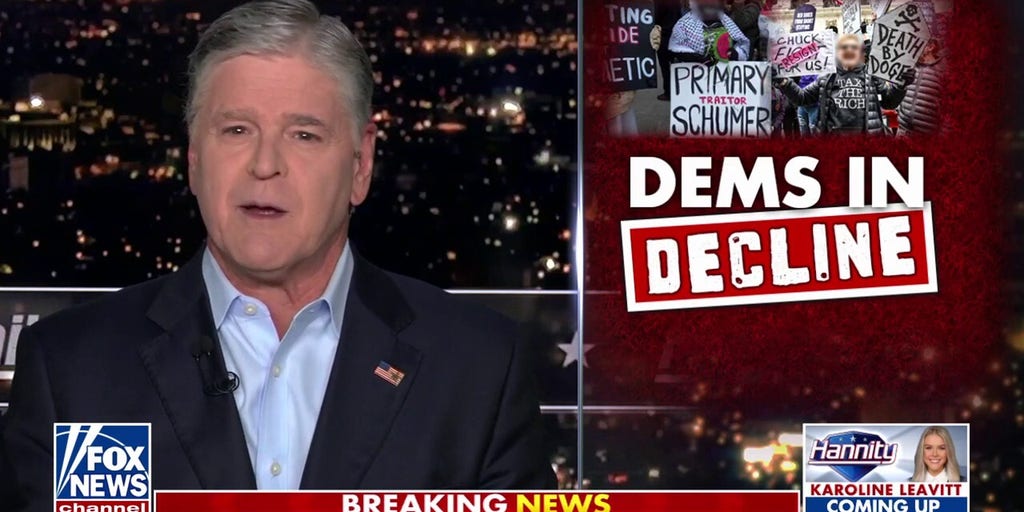 Sean Hannity: This is the state of the Democratic Party