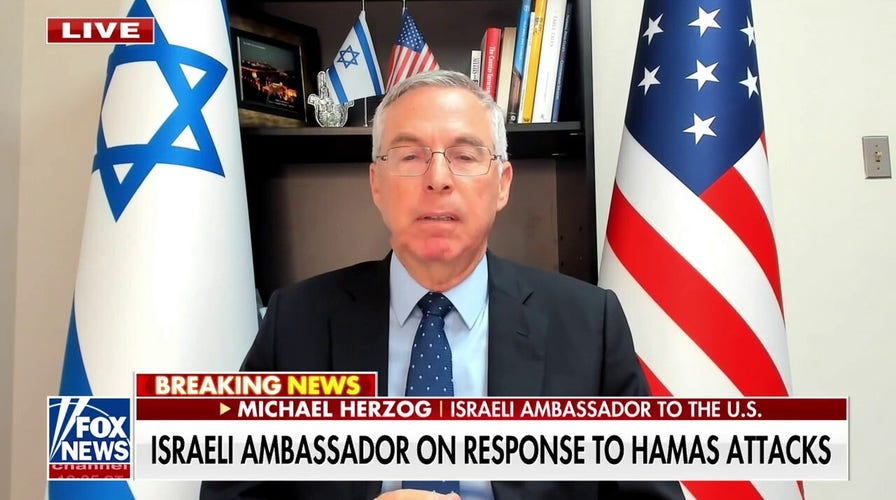 We are doing ‘everything possible’ to ensure civilians are not hurt in Gaza: Michael Herzog