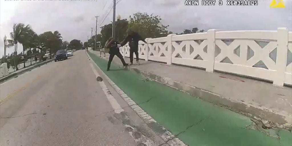 Frantic body camera footage shows the moment a Miami Beach police officer is shot by another officer
