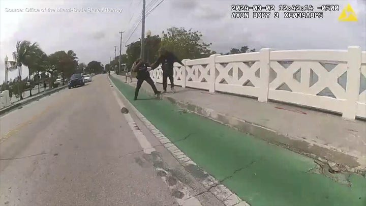 Frantic body camera footage shows the moment a Miami Beach Police officer is shot by another officer