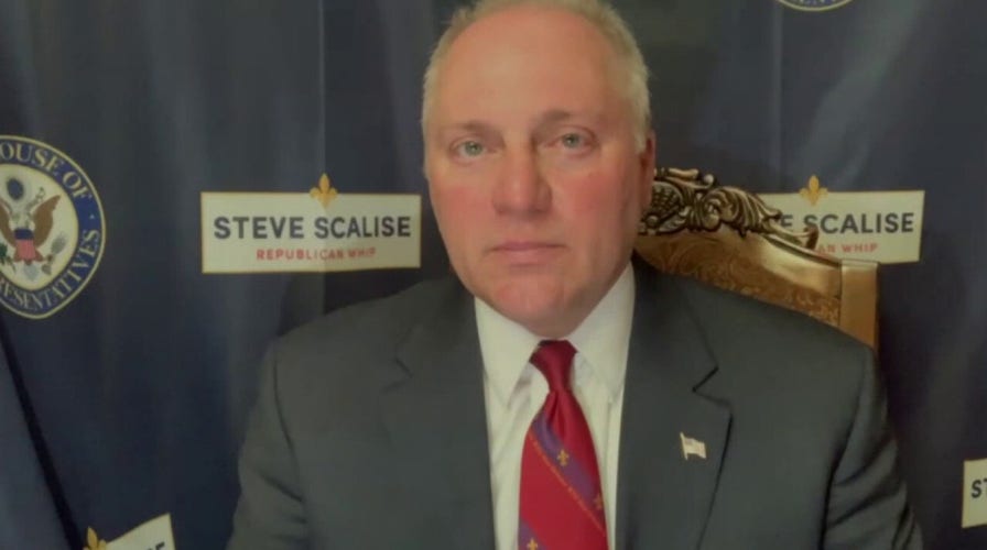 Rep. Steve Scalise blasts Democrats' opposition to GOP police reform bill