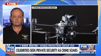 More celebrities hiring private security as crime surges around Los Angeles: 'In fear for their life'