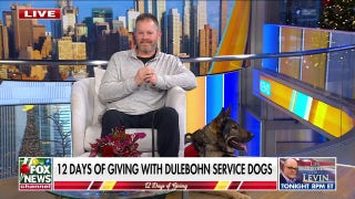 Dulebohn Service Dogs trains service dogs to help children, adults and veterans with disabilities - Fox News
