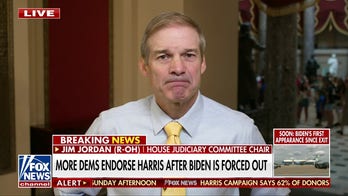Jim Jordan says it doesn’t matter who the Democrats put up for president: ‘Facts are facts’