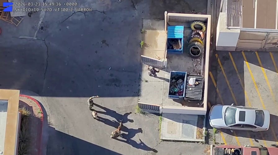 Drone video shows police track down madman after alleged rampage