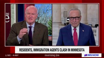 Schumer agrees with MS NOW contributor calling for senators, NYPD to protest ICE in Minneapolis