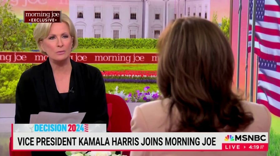 MSNBC host complains to Kamala Harris the race is too close with Trump: 'What's going on?'