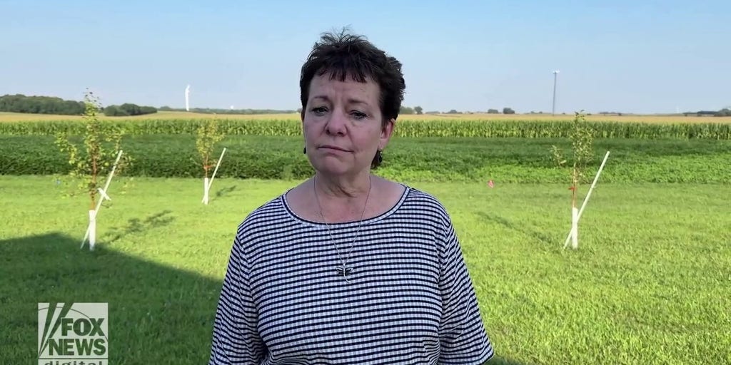 Minnesota small business owners warn that Walz is 'against" them