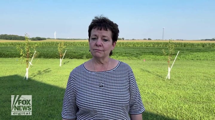 Minnesota small business owners warn that Walz is 'against" them