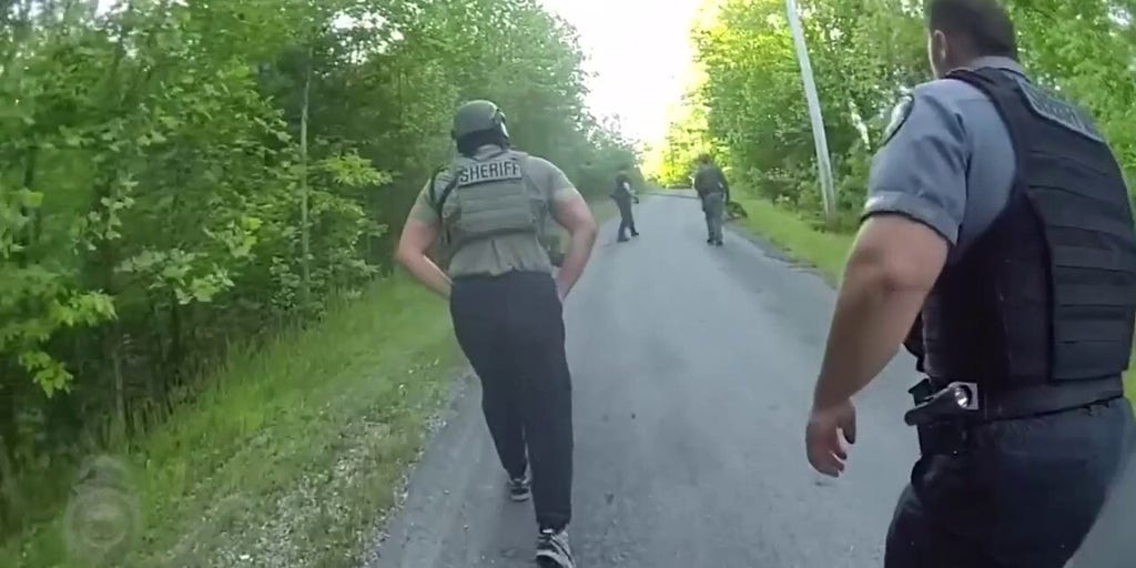 WATCH: Bloodhound leads officers through dense woods in hunt for armed, military-trained fugitive