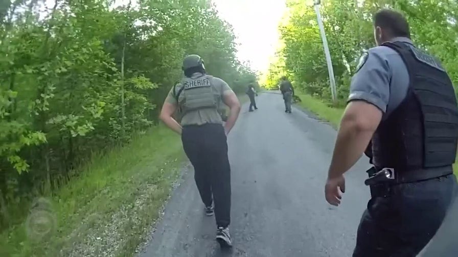 WATCH: Bloodhound leads officers through dense woods in hunt for armed, military-trained fugitive