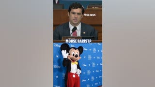 'Is Mickey Mouse racist?': Smithsonian director challenged on woke materials