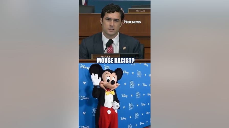 'Is Mickey Mouse racist?': Smithsonian director challenged on woke materials