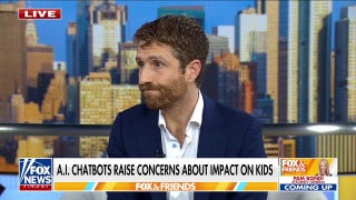 Tech expert says US needs to focus on 'controllable AI'