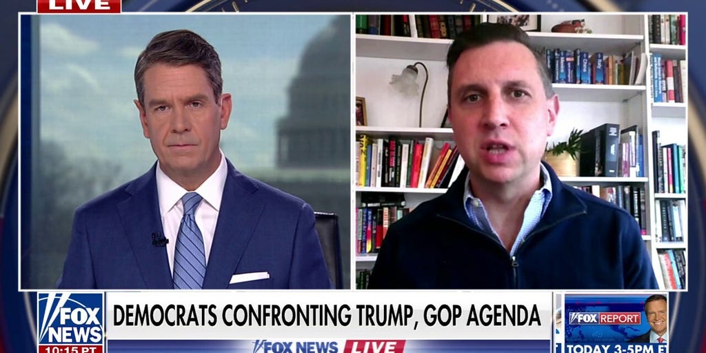 Rhode Island congressman calls for Musk to face Congress over DOGE cuts: 'We need oversight'