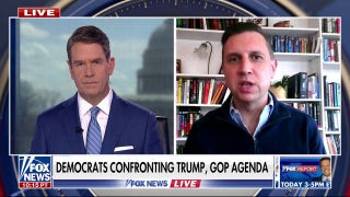 Rhode Island congressman calls for Musk to face Congress over DOGE cuts: 'We need oversight'  - Fox News