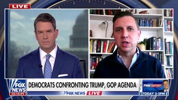 Rhode Island congressman calls for Musk to face Congress over DOGE cuts: 'We need oversight' 