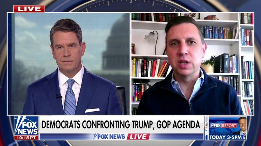 Rhode Island congressman calls for Musk to face Congress over DOGE cuts: 'We need oversight' 