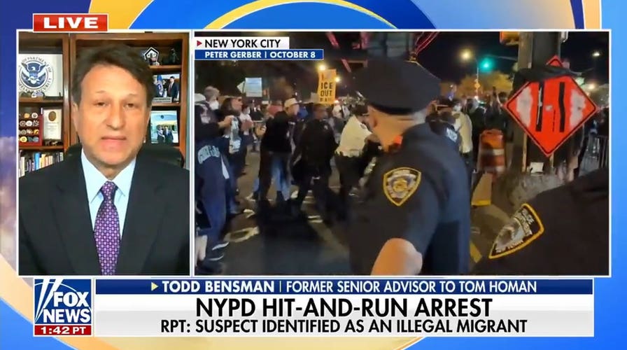 Suspect accused in NYPD hit-and-run is reportedly illegal immigrant