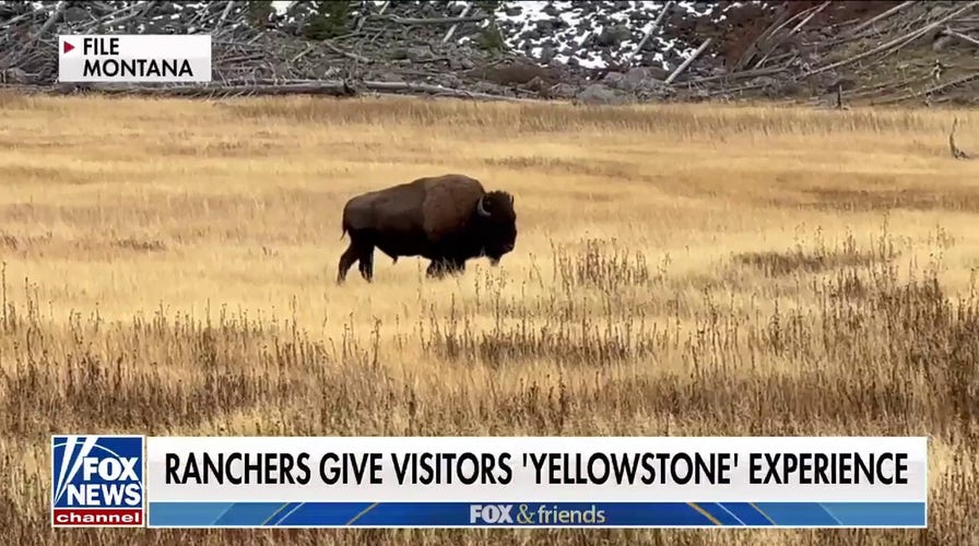 Montana ranchers give visitors the Yellowstone experience 