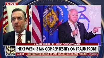 GOP rep calls out Dems over alleged fraud fallout: 'You are a disgrace to Minnesota'