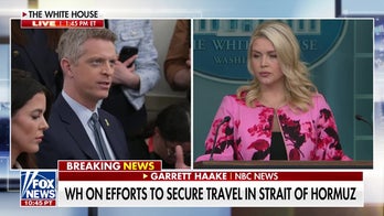 Leavitt fires back at reporter over question on Trump, 'potential war crimes'