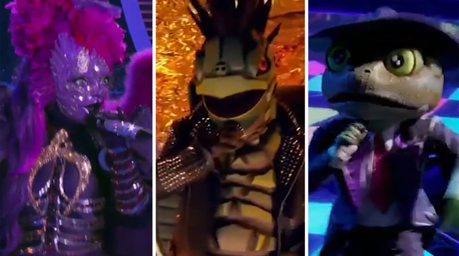 Night Angel, Turtle and Frog face off on 'The Masked Singer' season finale