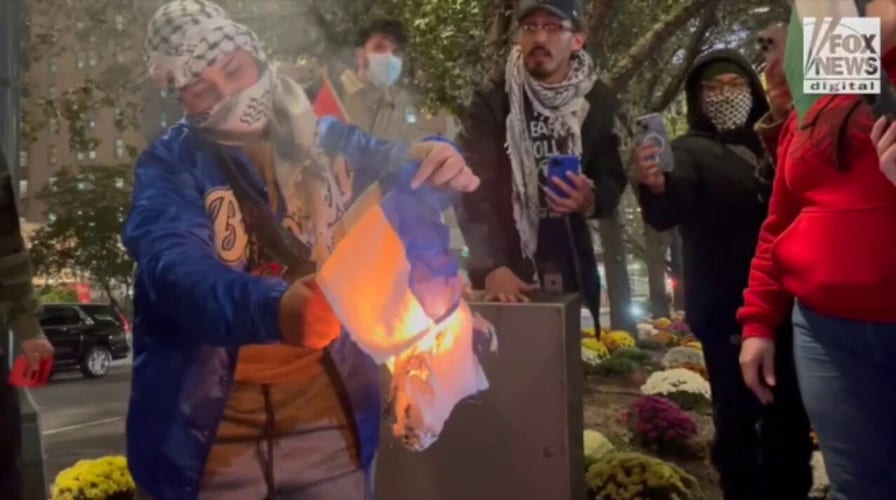 Pro-Palestinian protester sets fire to Israeli flag