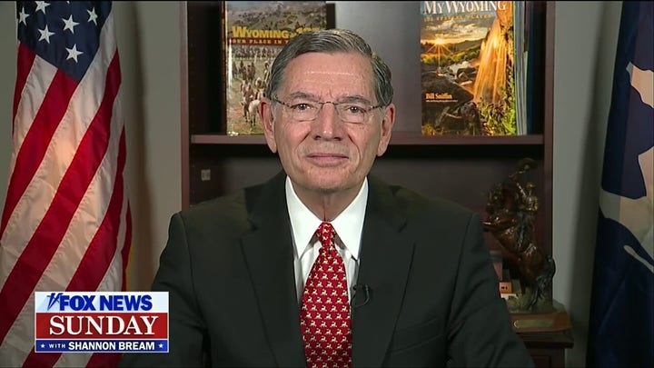 Democrats have been 'running around like Chicken Little’ since Trump took office: Sen. John Barrasso.