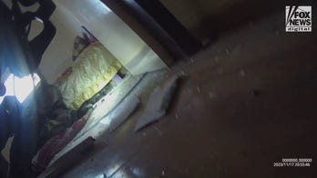 The IDF's canine unit clears out explosives in the Gaza Strip