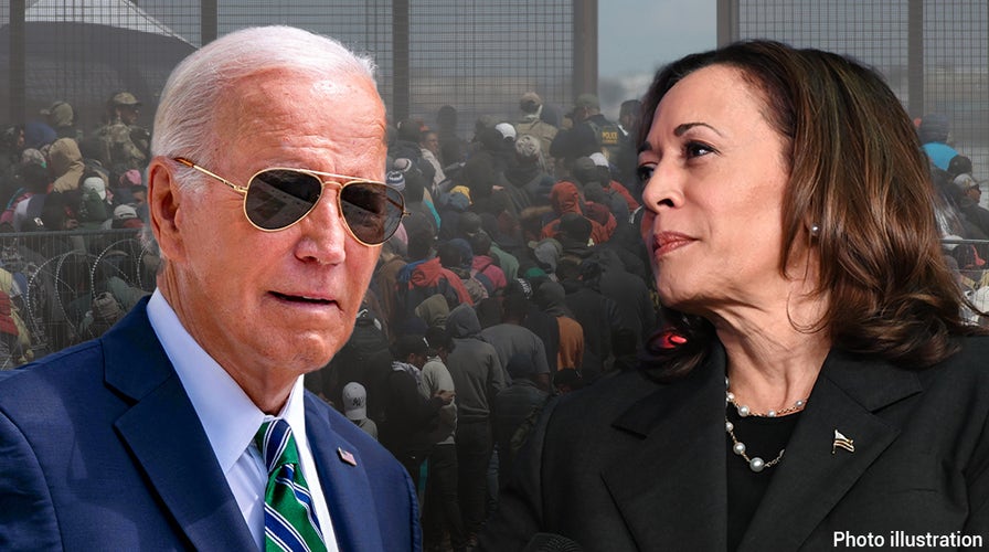 WATCH LIVE: House holds hearing on noncitizen voting amid Biden-Harris border crisis
