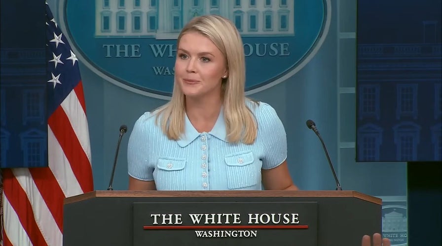 White House press secretary Karoline Leavitt slams CNN for promoting ICEBlock app