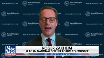 Realpolitik is all that keeps Turkey in NATO, Reagan Institute director says