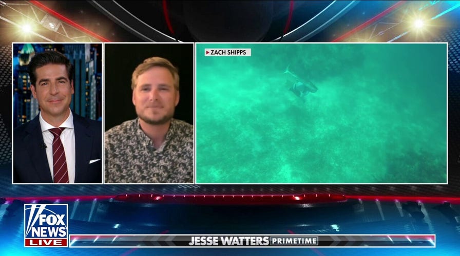 Shark Attack Survivor Recounts Bone 'crunching' Encounter: 'It Was An ...