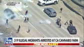 California Cannabis farm raid is 'largest worksite enforcement raid' of this year: CBP sources