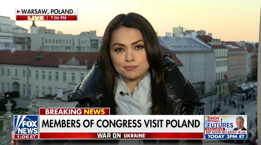 US lawmakers visit Poland, assess Ukrainian refugee crisis