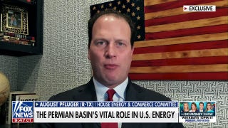 Republican lawmaker says energy 'underpins everything we do' - Fox News