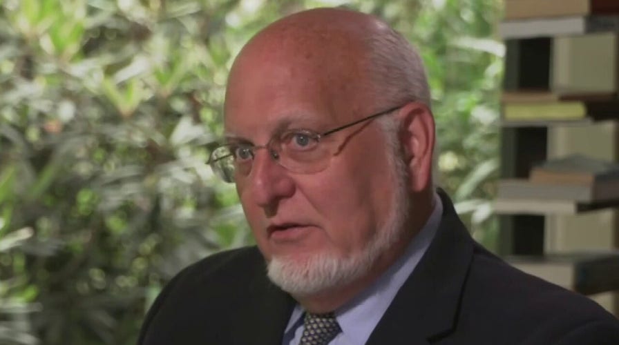 Exclusive: Former CDC Director Redfield says he believes COVID-19 came from Wuhan lab