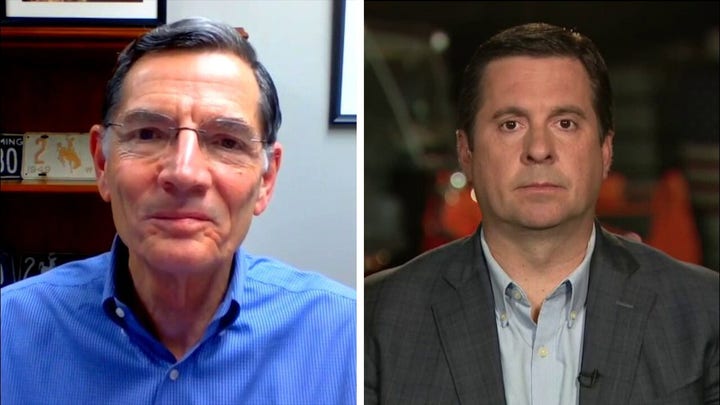 Sen. John Barrasso, Rep. Devin Nunes respond to Laura Ingraham's call for Congress to return to work