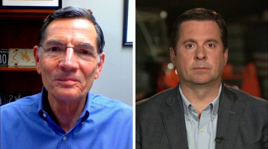 Sen. John Barrasso, Rep. Devin Nunes respond to Laura Ingraham's call for Congress to return to work